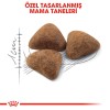 Royal Canin Indoor 27 Ev Kedileri için Yetişkin Kedi Maması 2kg