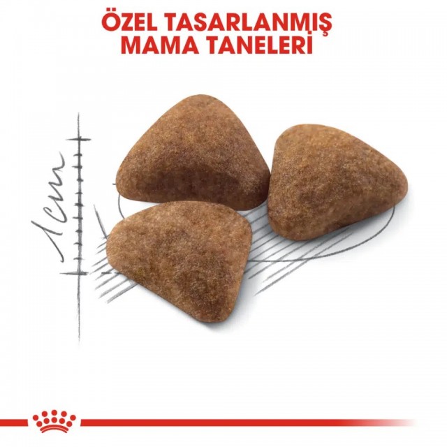 Royal Canin İndoor 27 Yetişkin Kedi Maması 2 Kg