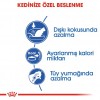 Royal Canin İndoor 27 Yetişkin Kedi Maması 2 Kg