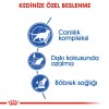 Royal Canin Indoor +7 Ev Kedileri için Yaşlı Kedi Maması 1,5kg