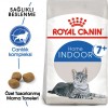 Royal Canin İndoor 7+ Yaşlı Kedi Maması 3.5 Kg