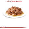 Royal Canin Hair&Skin Gravy Kedi Konservesi 85gr (12 Adet)