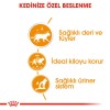 Royal Canin Hair&Skin Gravy Kedi Konservesi 85gr (12 Adet)