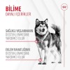 Royal Canin Eklem ve Sağlıklı Yaşlanma Destekleyici Köpek Ödülü 240gr