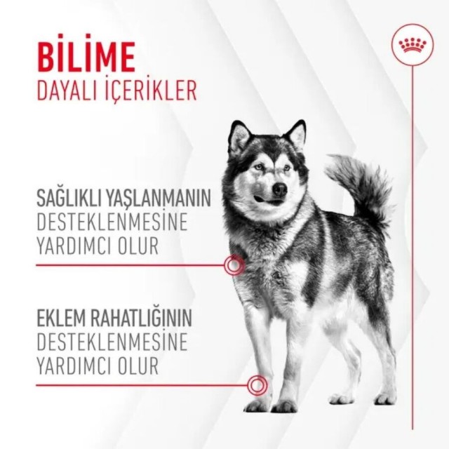 Royal Canin Eklem ve Sağlıklı Yaşlanma Destekleyici Köpek Ödülü 240gr