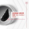 Royal Canin Eklem ve Sağlıklı Yaşlanma Destekleyici Köpek Ödülü 240gr