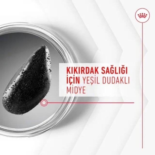 Royal Canin Eklem ve Sağlıklı Yaşlanma Destekleyici Köpek Ödülü 240gr