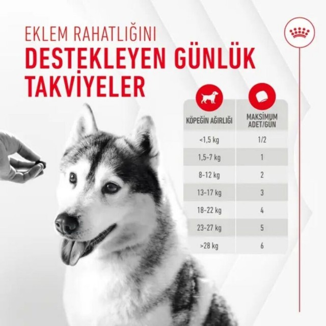Royal Canin Eklem ve Sağlıklı Yaşlanma Destekleyici Köpek Ödülü 240gr