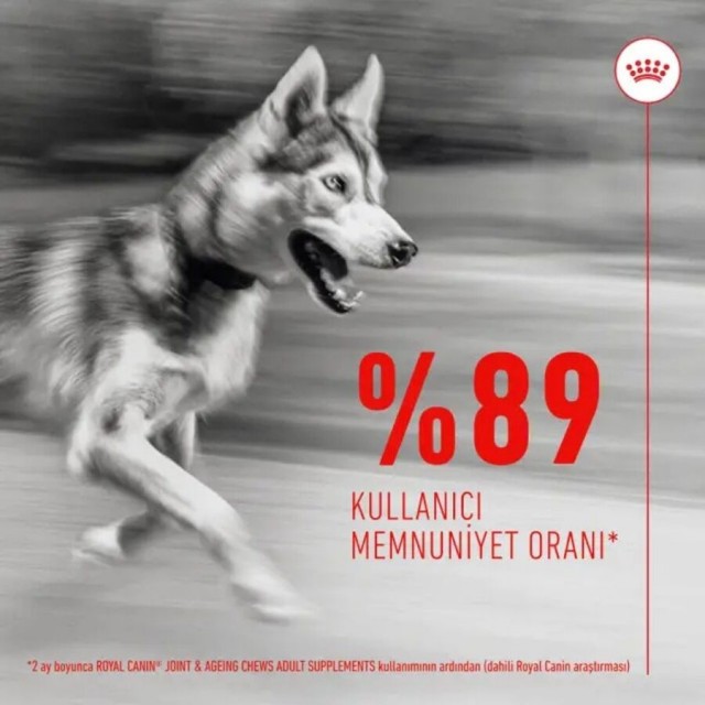 Royal Canin Eklem ve Sağlıklı Yaşlanma Destekleyici Köpek Ödülü 240gr