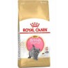 Royal Canin British Shorthair Kitten Yavru Kedi Maması 2kg
