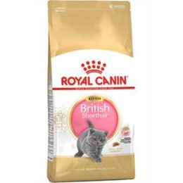 Royal Canin British Shorthair Kitten Yavru Kedi Maması 2kg