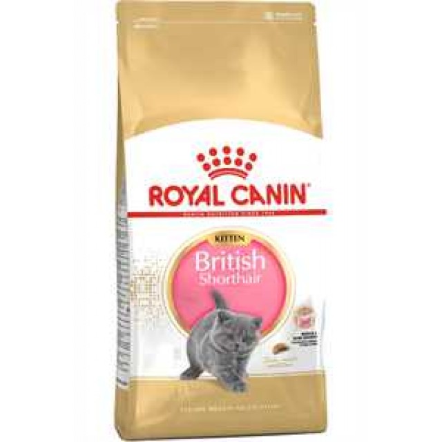 Royal Canin British Shorthair Kitten Yavru Kedi Maması 2kg