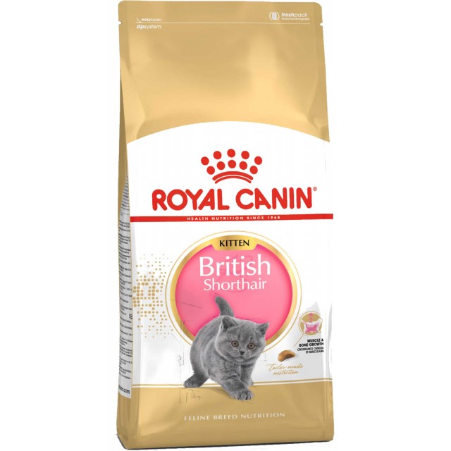 Royal Canin British Shorthair Kitten Yavru Kedi Maması 2kg
