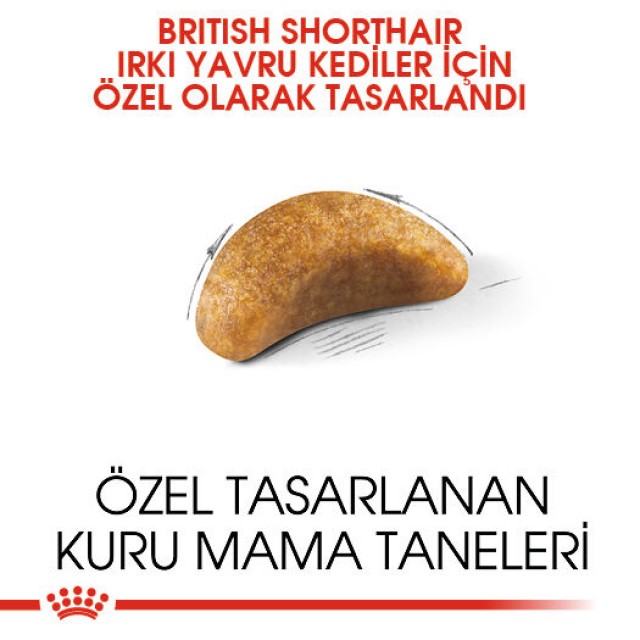 Royal Canin British Shorthair Kitten Yavru Kedi Maması 2kg