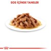 Royal Canin Kitten Gravy Yavru Kedi Konservesi 85gr