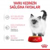 Royal Canin Kitten Jelly Pouch Yavru Kedi Yaş Maması 85 Gr