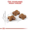 Royal Canin Kitten Yavru Kedi Maması 2 Kg