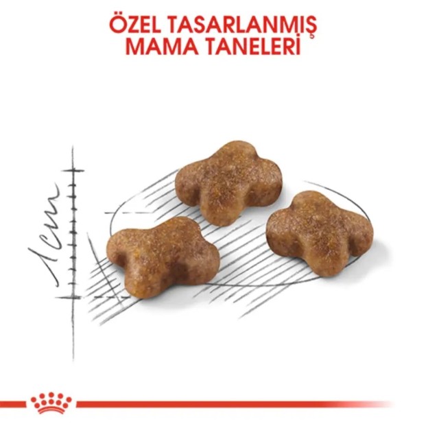 Royal Canin Kitten Yavru Kedi Maması 2 Kg