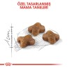 Royal Canin Kitten Yavru Kedi Maması 4 Kg