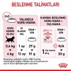Royal Canin Kitten Yavru Kedi Maması 4 Kg