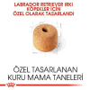 Royal Canin Labrador Retriever Yetişkin Köpek Maması 12kg