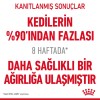 Royal Canin Light Weight Care Yetişkin Kedi Maması 1.5 Kg