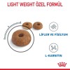 Royal Canin Light Weight Care Yetişkin Kedi Maması 8 Kg