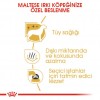 Royal Canin Maltese Adult Yetişkin Köpek Maması 1.5 Kg