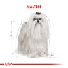 Royal Canin Maltese Yetişkin Köpek Maması 1,5kg
