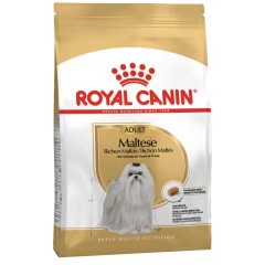 Royal Canin Maltese Terrier Yetişkin Köpek Maması 1,5 kg