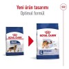 Royal Canin Maxi Adult Büyük Irk Yetişkin Köpek Maması 15kg