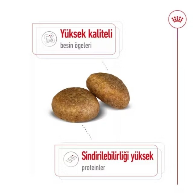 Royal Canin Maxi Adult Büyük Irk Yetişkin Köpek Maması 15kg