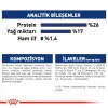 Royal Canin Maxi Adult Büyük Irk Yetişkin Köpek Maması 15 Kg