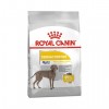 Royal Canin Maxi Dermacomfort Büyük Irk Köpek Maması 12 kg