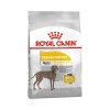 Royal Canin Maxi Dermacomfort Büyük Irk Köpek Maması 12 kg