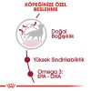 Royal Canin Medium Adult Orta Irk Yetişkin Köpek Maması 15kg