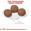 Royal Canin Medium Puppy Orta Irk Yavru Köpek Maması 15kg