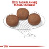 Royal Canin Medium Puppy Orta Irk Yavru Köpek Maması 4kg
