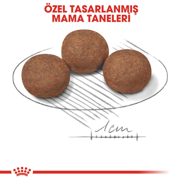 Royal Canin Medium Puppy Orta Irk Yavru Köpek Maması 4kg