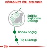 Royal Canin Mini +12 Ageing Pouch Yaşlı Köpek Konservesi 85gr