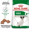 Royal Canin Mini Adult 8+ Yaşlı Köpek Maması 2 Kg