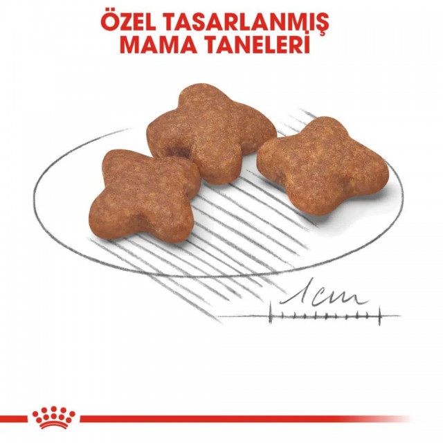 Royal Canin Mini Adult 8+ Yaşlı Köpek Maması 2 Kg