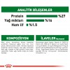 Royal Canin Mini Adult 8+ Yaşlı Köpek Maması 2 Kg