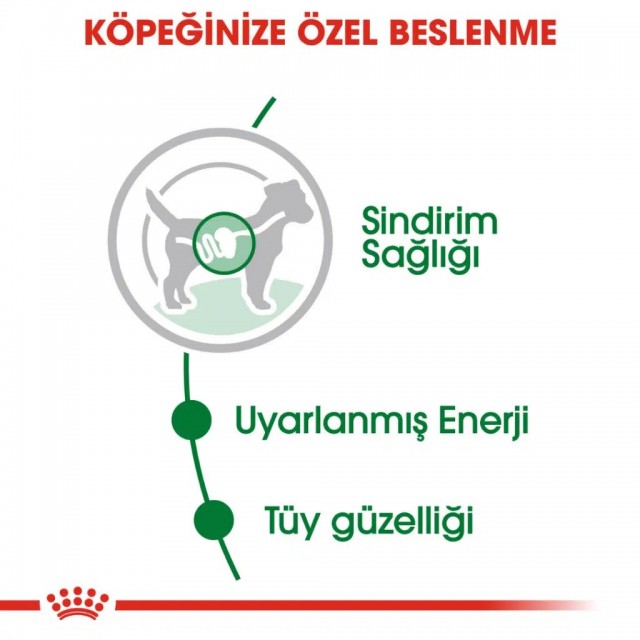 Royal Canin Mini Adult Gravy Pounch Köpek Yaş Maması 85 Gr