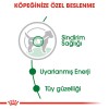 Royal Canin Mini Adult Küçük Irk Köpek Konservesi 85gr