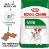 Royal Canin Mini Adult Küçük Irk Yetişkin Köpek Maması 8 Kg