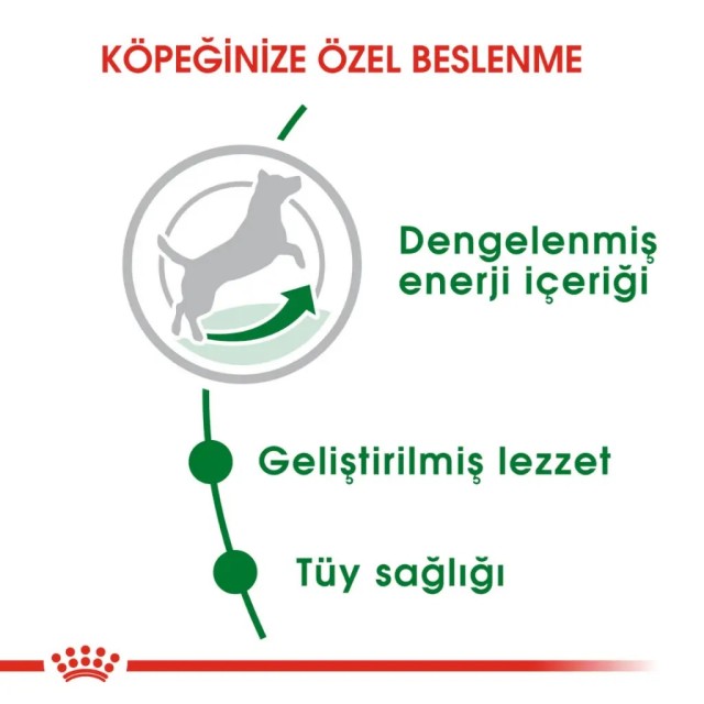 Royal Canin Mini Adult Küçük Irk Yetişkin Köpek Maması 8 Kg