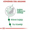 Royal Canin Mini Ageing 12+ Gravy Pouch Yaşlı Köpek Yaş Maması 85 Gr
