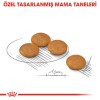 Royal Canin Mini Dermacomfort Yetişkin Köpek Maması 3 Kg