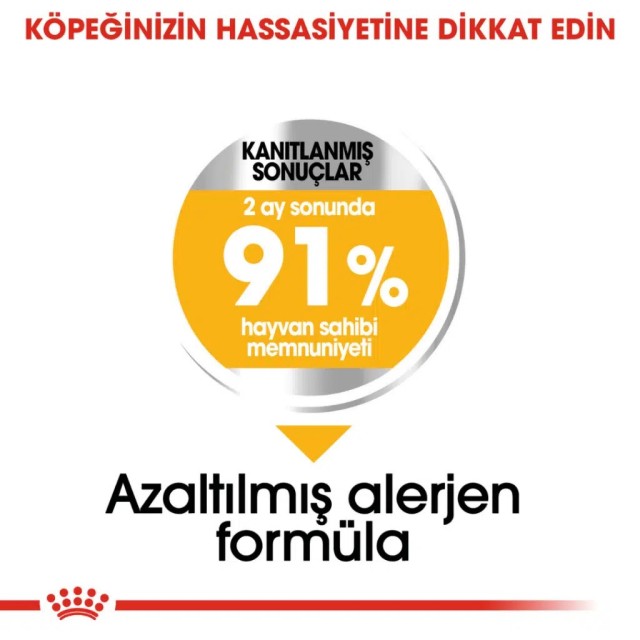 Royal Canin Mini Dermacomfort Yetişkin Köpek Maması 3 Kg